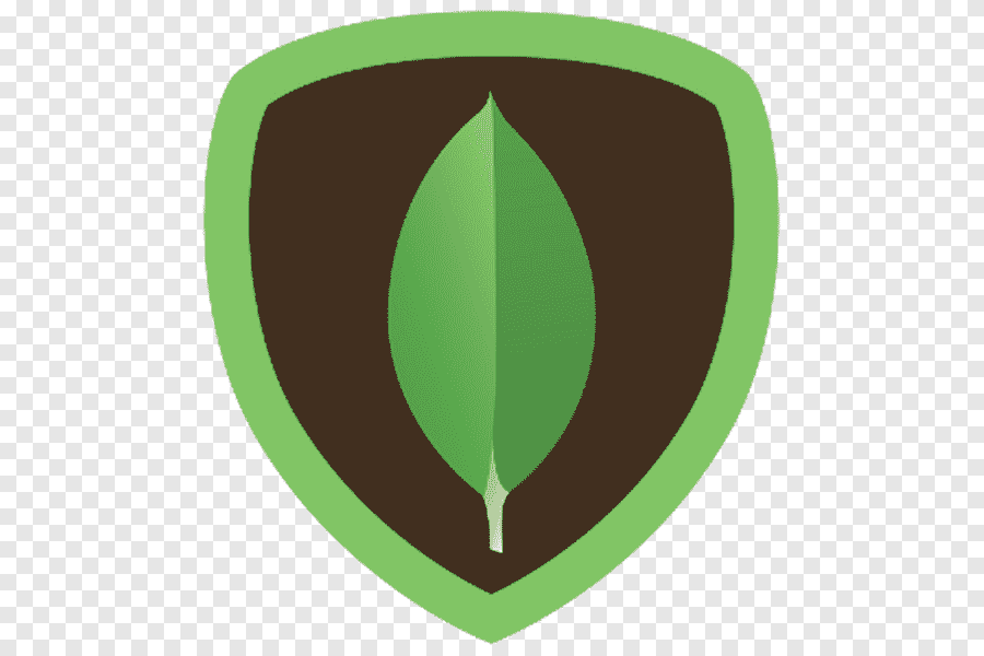 An image of the MongoDB icon